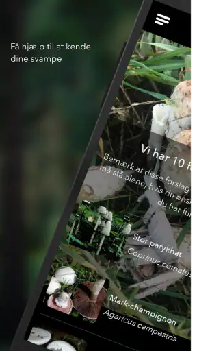 Danmarks svampeatlas screenshot