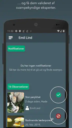 Danmarks svampeatlas screenshot