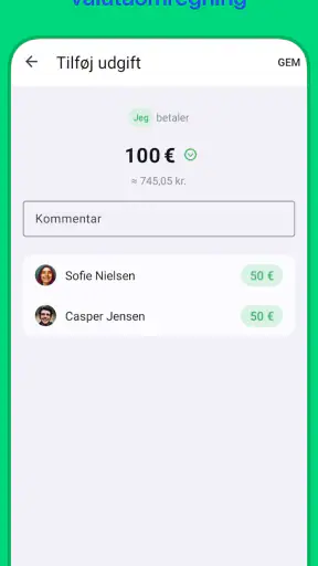 Divvy screenshot