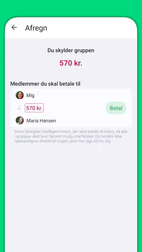 Divvy screenshot