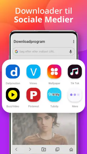 Downloadprogram screenshot