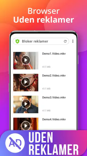 Downloadprogram screenshot