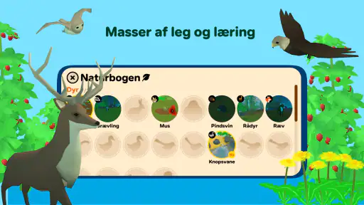 DR Naturspillet screenshot