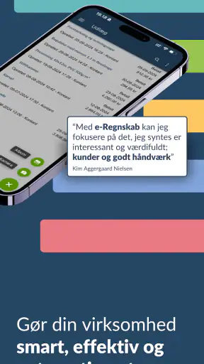 e-Regnskab screenshot