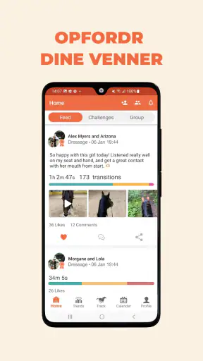 Equilab: Til ryttere screenshot
