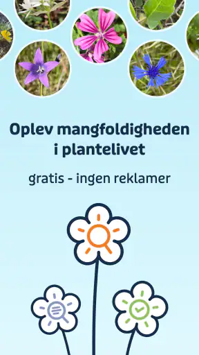 Flora Incognita screenshot