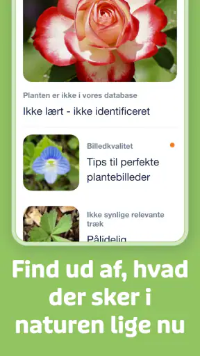 Flora Incognita screenshot