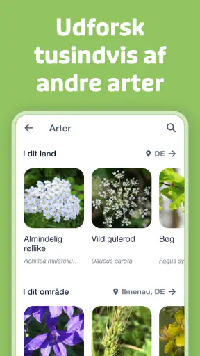 Flora Incognita screenshot