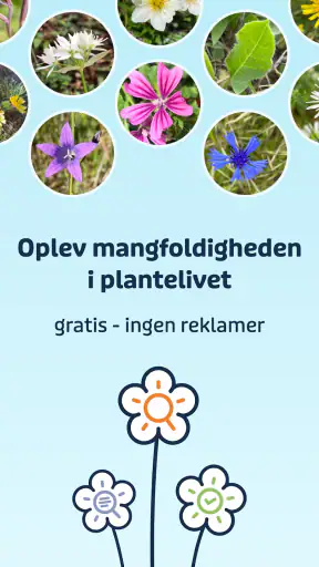Flora Incognita screenshot