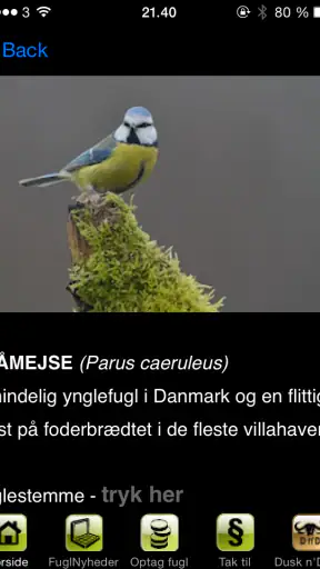FugleApp screenshot