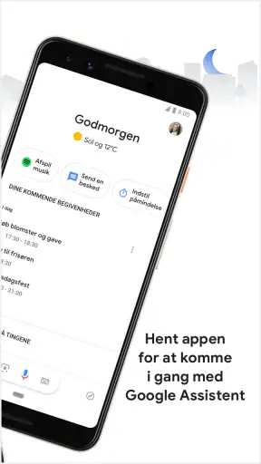 Google Assistent screenshot