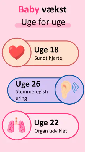 Gravid følg udviklingen App screenshot