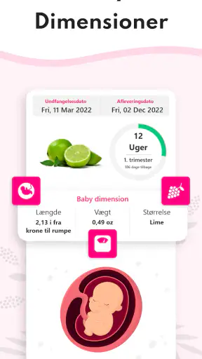 Graviditet Regnemaskine screenshot