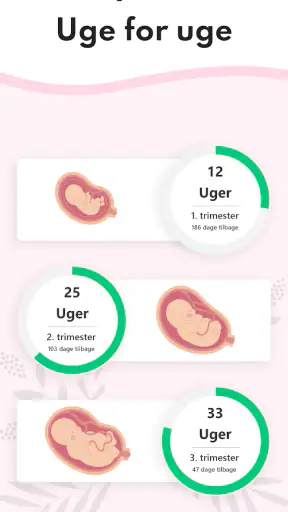 Graviditet Regnemaskine screenshot