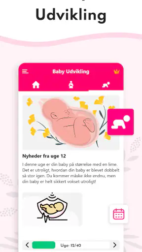 Graviditet Regnemaskine screenshot