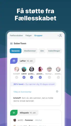 I Am Sober - Jeg er ædru screenshot