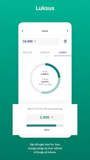 Lommebudget - styr på pengene screenshot