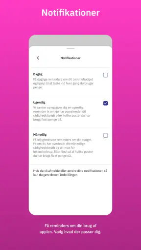 Lommebudget - styr på pengene screenshot