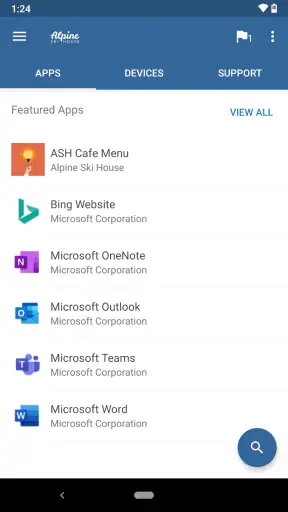 Microsoft Intune-firmaportal screenshot