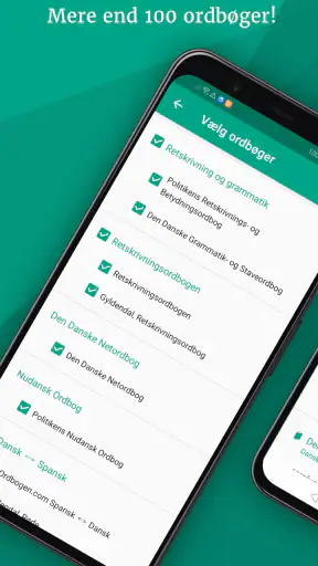 Ordbogen screenshot
