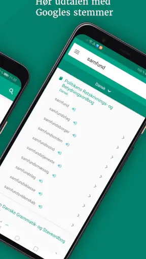 Ordbogen screenshot