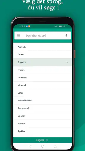 Ordbogen screenshot