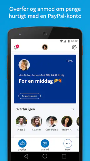 PayPal screenshot