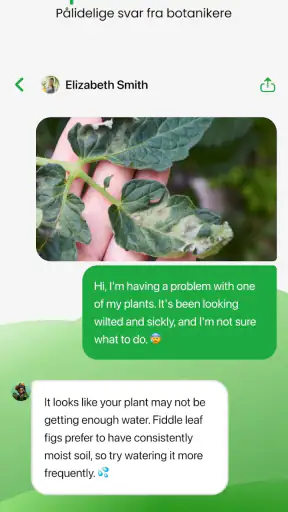 PlantApp – Planteguide screenshot