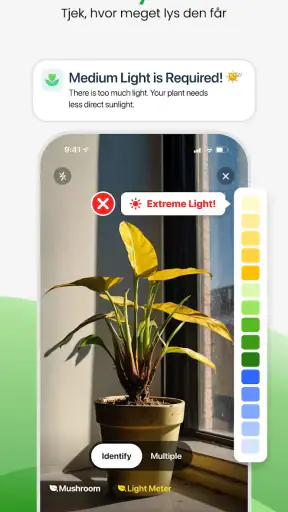 PlantApp – Planteguide screenshot