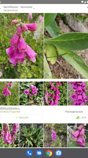 PlantNet Plante Identificering screenshot