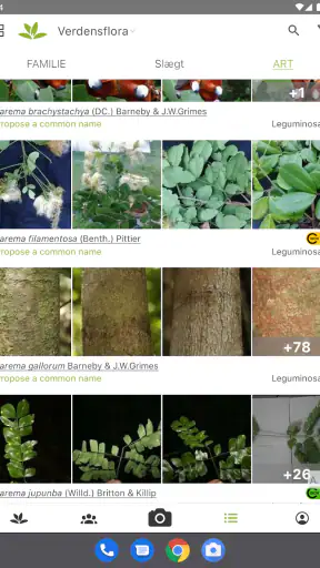 PlantNet Plante Identificering screenshot