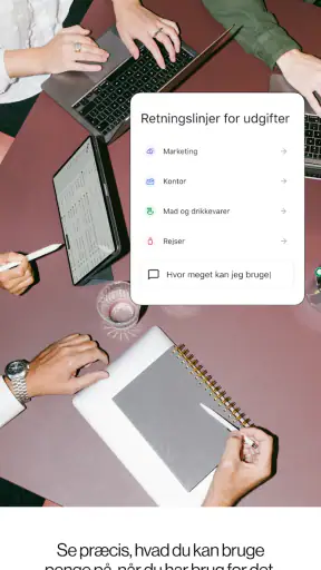 Pleo screenshot