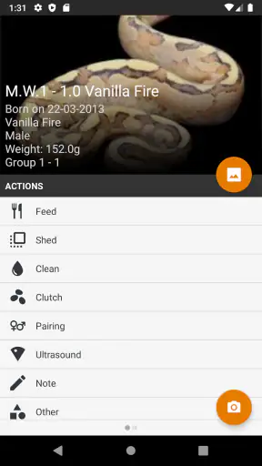 Reptile Scan screenshot