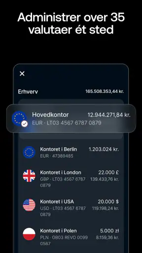 Revolut Business screenshot
