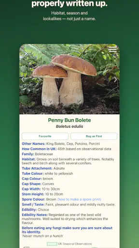 Shroomify - Mushroom ID screenshot