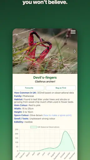Shroomify - Mushroom ID screenshot