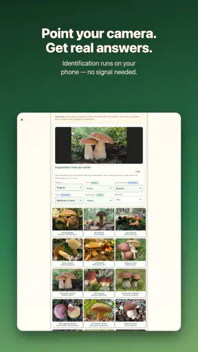 Shroomify - Mushroom ID screenshot