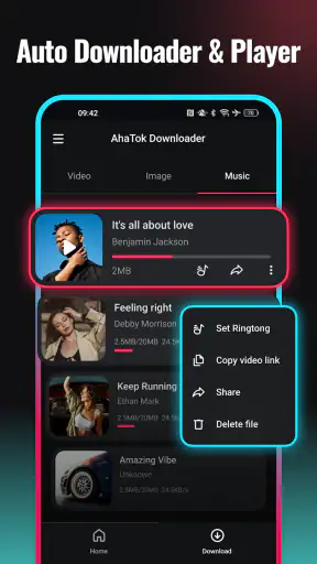 SnapTok - TT Video Downloader screenshot