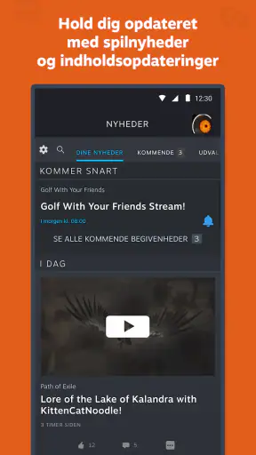 Steam screenshot