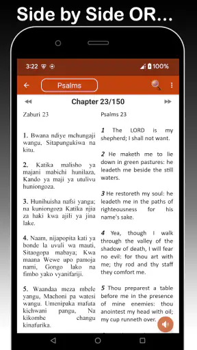 Swahili Bible: Biblia Takatifu screenshot