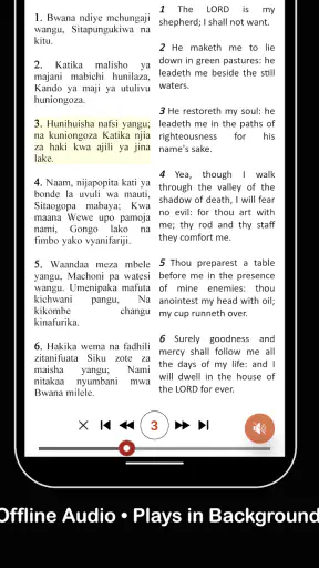 Swahili Bible: Biblia Takatifu screenshot