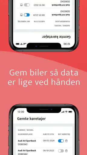TjekBil - Nummerpladetjek screenshot