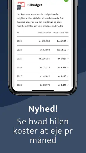 TjekBil - Nummerpladetjek screenshot