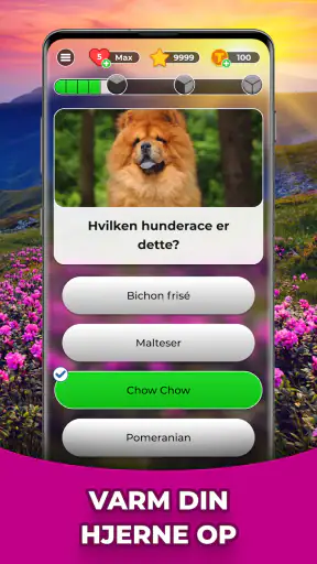 Triviascapes: quiz og IQ-test screenshot