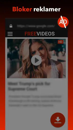 Videodownloader screenshot