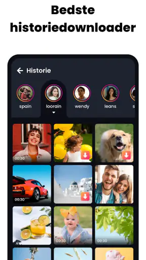 Videodownloader og -afspiller screenshot