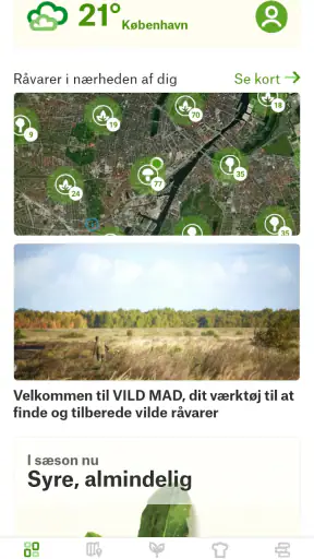 VILD MAD screenshot