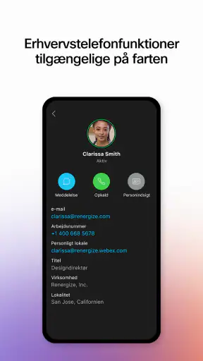 Webex screenshot