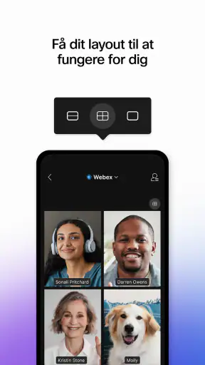 Webex Meetings screenshot
