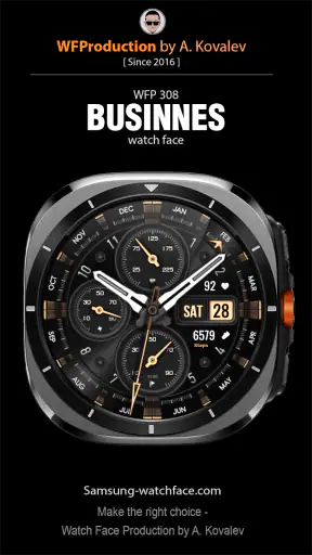 WFP 308 Business watch face screenshot